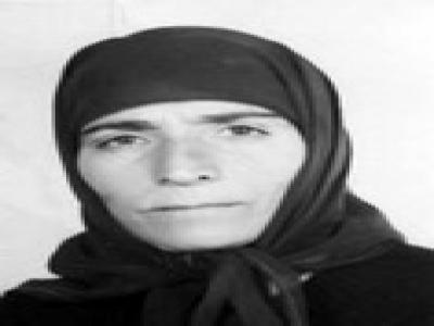   مرجع کامل شهدای بروحرد http://shohada-brj.blogfa.com/ 