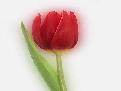   مرجع کامل شهدای بروحرد http://shohada-brj.blogfa.com/ 